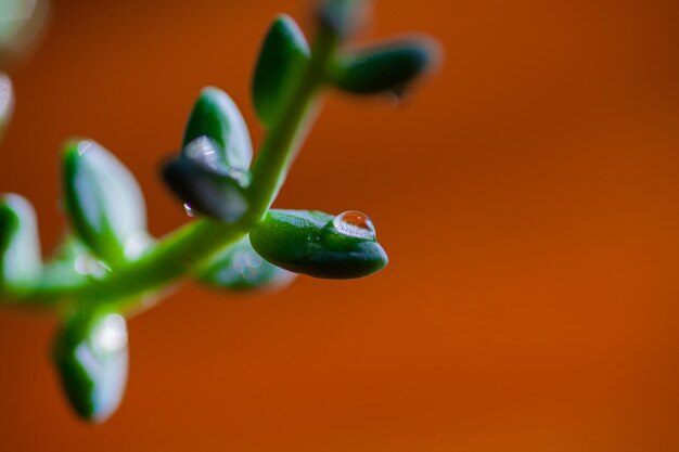 Gitlab Stock Drops Cfo Leaves